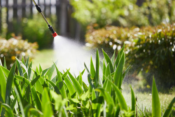24/7 Emergency Mosquito Control experts in South Deerfield, MA