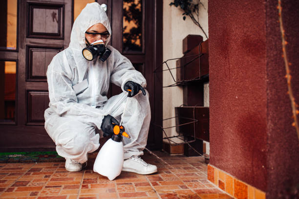 Reliable Mosquito Control contractor in South Deerfield, MA by Show Me Pest Control