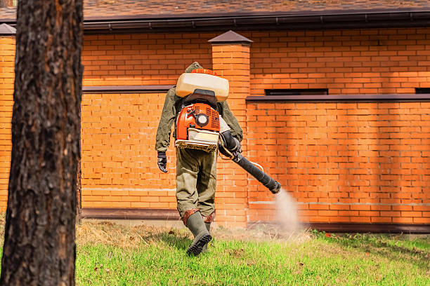 Top rated local Mosquito Control specialists in South Deerfield, MA